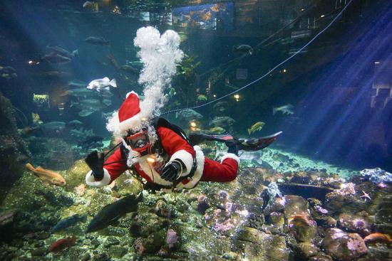 Hút khách bằng ông già Noel trong bể cá